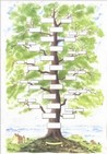 Arbre Jean Bernard Laurent